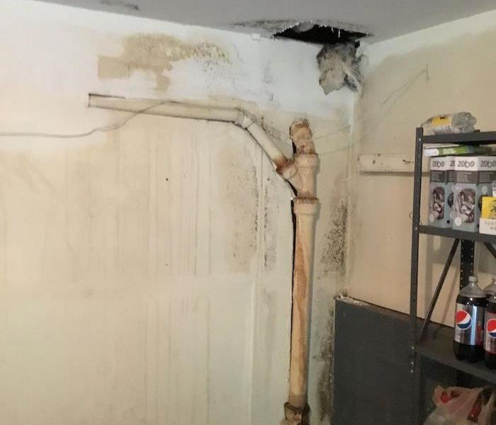 Basement with mold damage on walls