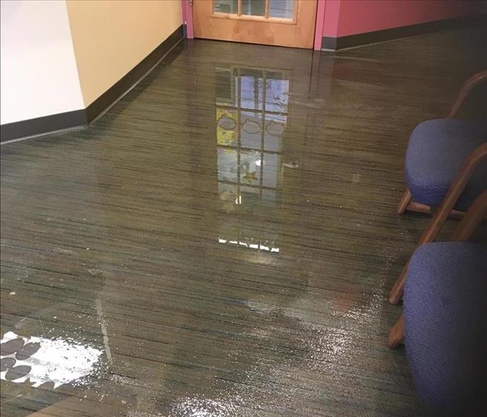 pooling water from the failed sprinkler system reflecting on the office carpet