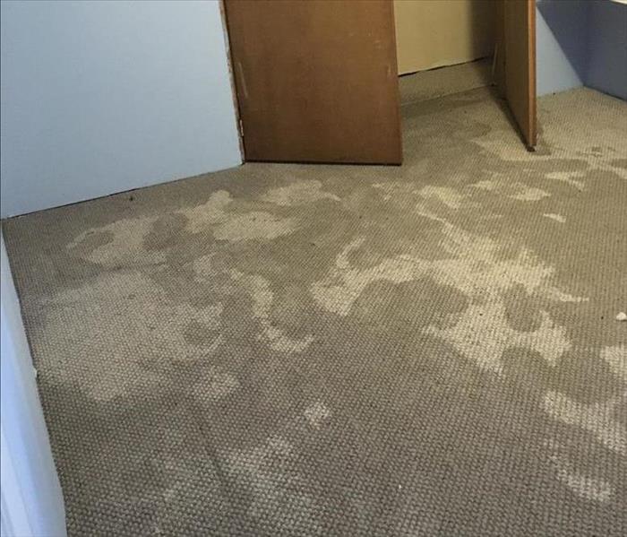 beige berber carpet with water stains