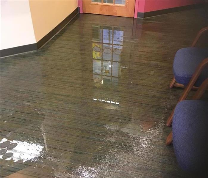 Carpet flooring wet in an office. 