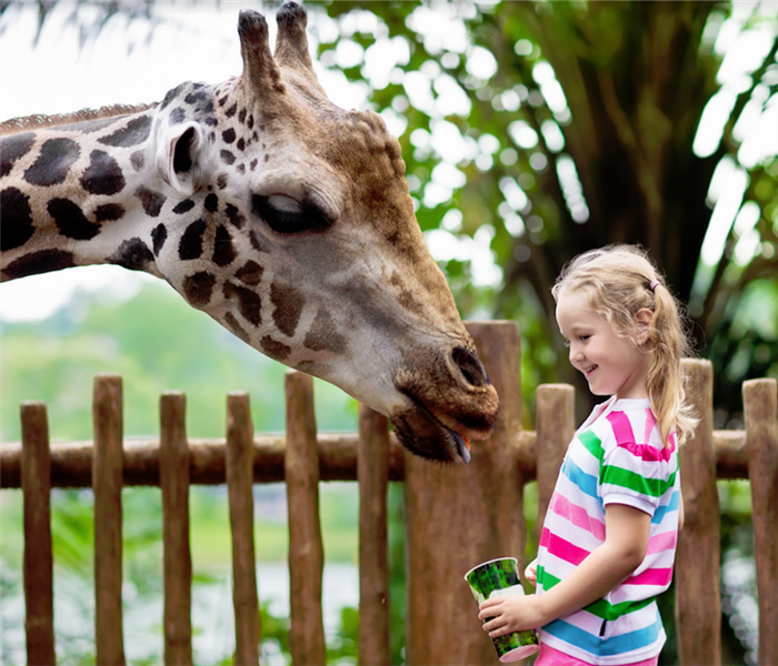 a girl standing by a giraffe 