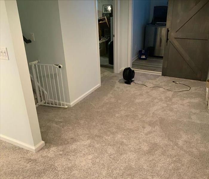 Basement room with a fan on carpet